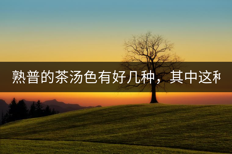 熟普的茶湯色有好幾種，其中這種不建議喝！