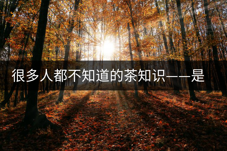 很多人都不知道的茶知識(shí)——是什么造就了普洱茶的一山一味？