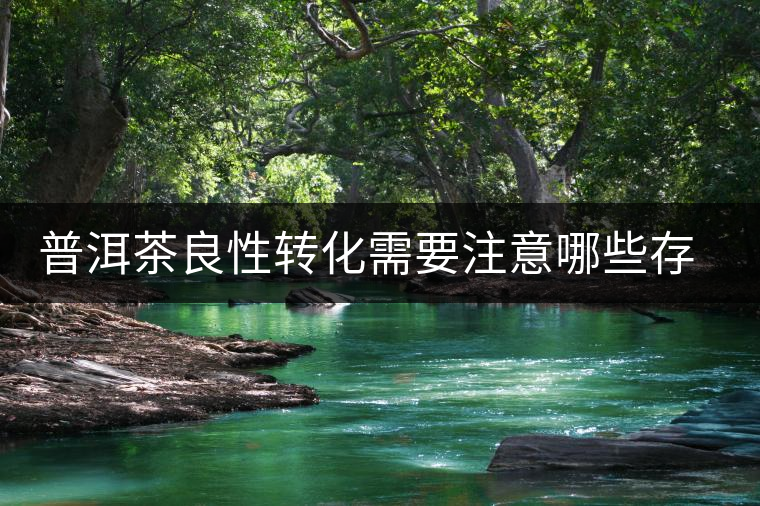 普洱茶良性轉(zhuǎn)化需要注意哪些存放問(wèn)題？