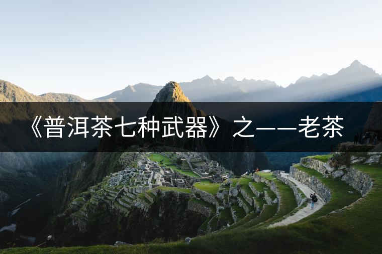 《普洱茶七種武器》之——老茶頭