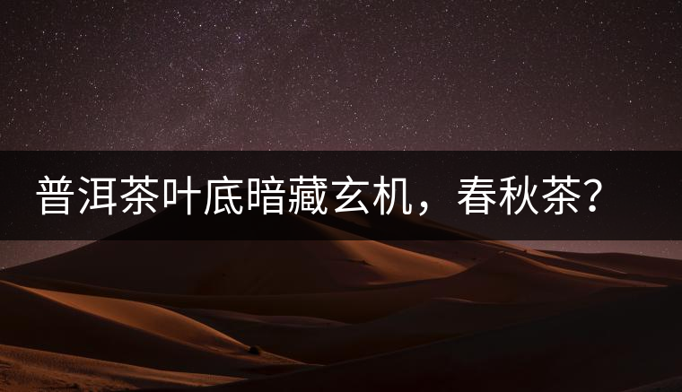 普洱茶葉底暗藏玄機(jī)，春秋茶？大樹茶？野生茶？班章料？你讀懂了嗎？