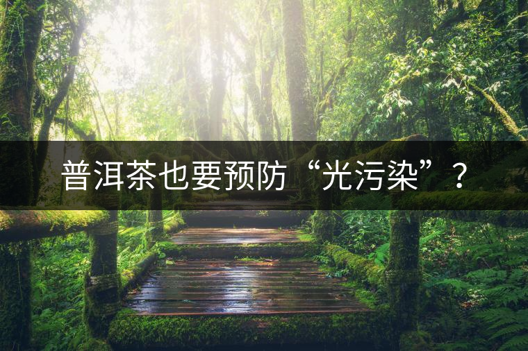 普洱茶也要預防“光污染”？