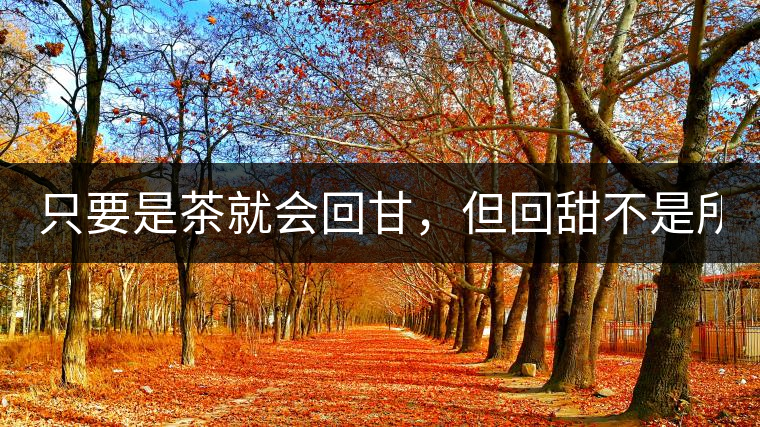只要是茶就會(huì)回甘，但回甜不是所有茶都有！