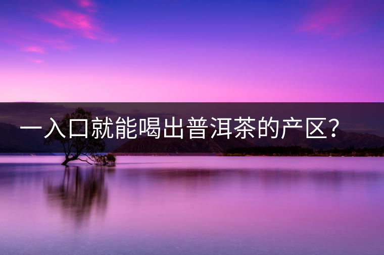 一入口就能喝出普洱茶的產(chǎn)區(qū)？怎么能不讀這篇文章呢？