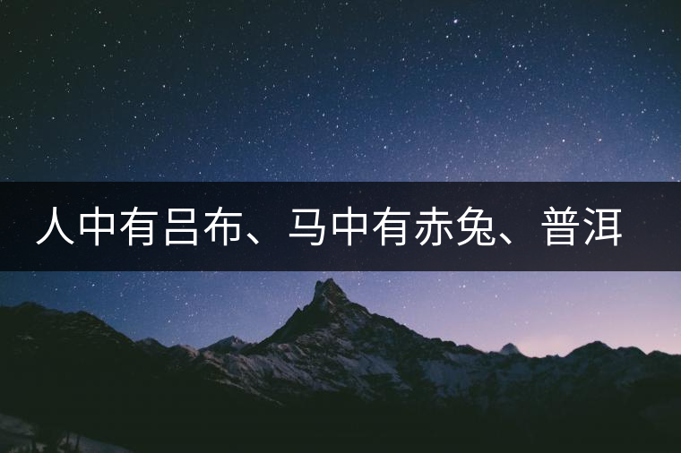 人中有呂布、馬中有赤兔、普洱中有茶化石：碎銀子！