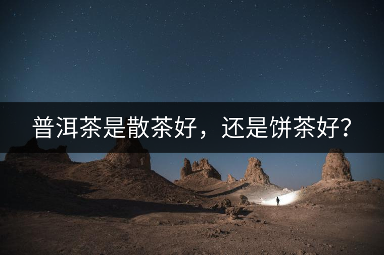 普洱茶是散茶好，還是餅茶好？