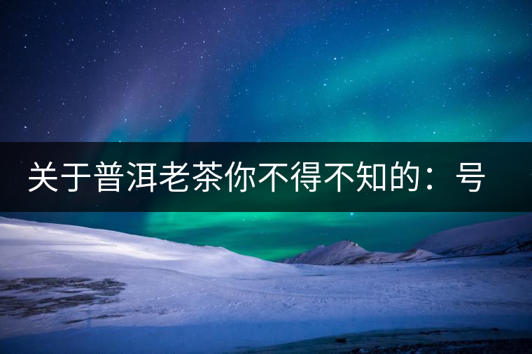關(guān)于普洱老茶你不得不知的：號級茶、印級茶、七子餅茶