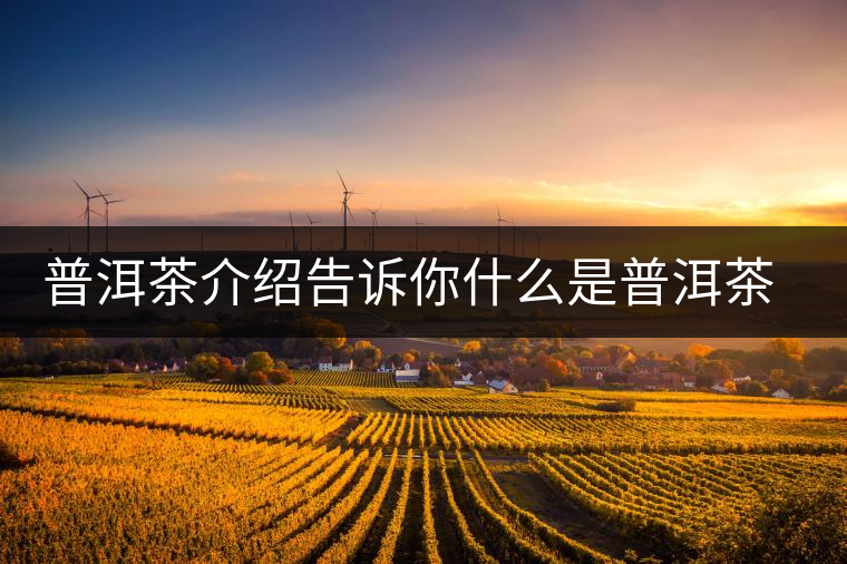 普洱茶介紹告訴你什么是普洱茶熟茶和臺(tái)地茶 普洱茶介紹告訴你什么是普洱茶熟茶和臺(tái)地茶