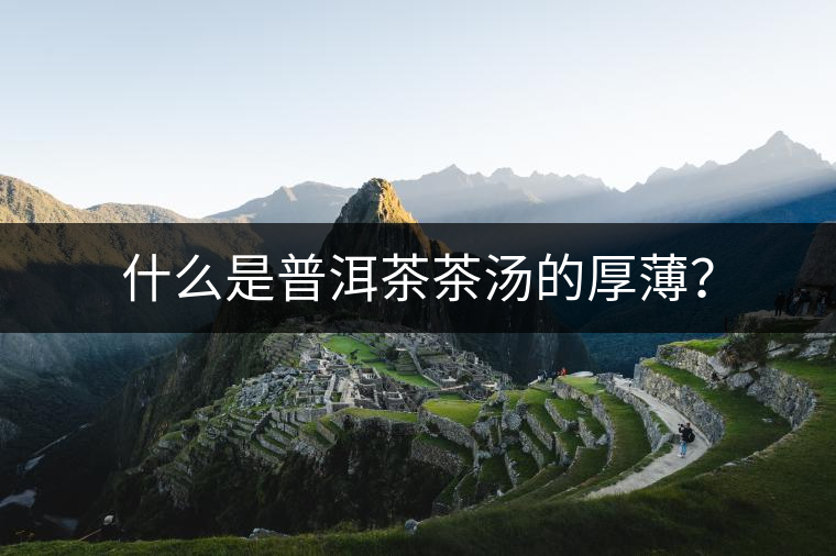 什么是普洱茶茶湯的厚薄？