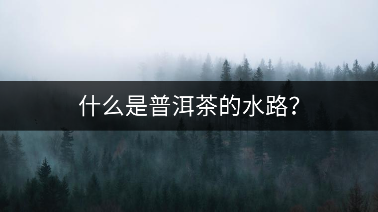 什么是普洱茶的水路？