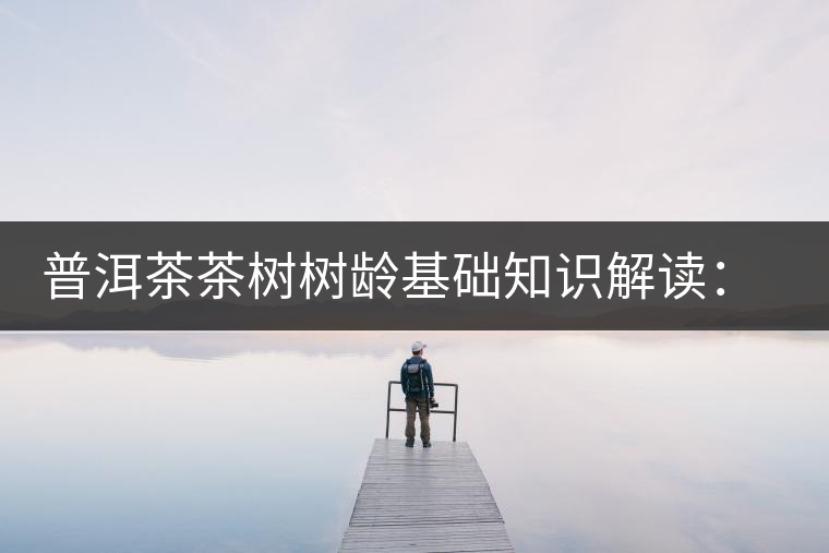 普洱茶茶樹樹齡基礎知識解讀：多大樹齡的茶才算古樹茶？