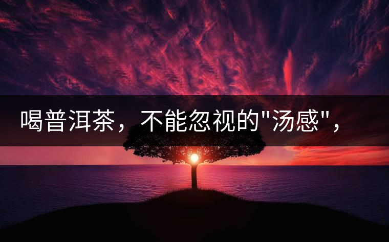 喝普洱茶，不能忽視的