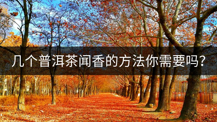 幾個普洱茶聞香的方法你需要嗎？