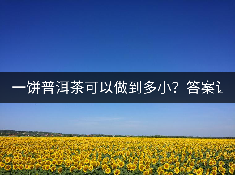 一餅普洱茶可以做到多??？答案讓人意想不到...