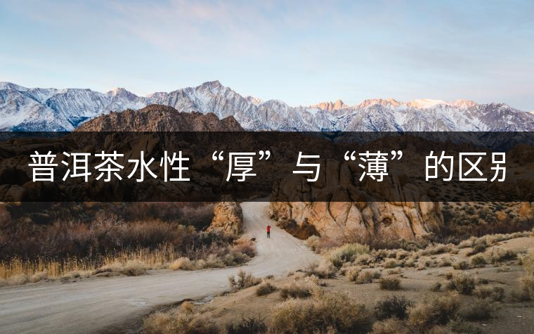 普洱茶水性“厚”與“薄”的區(qū)別！