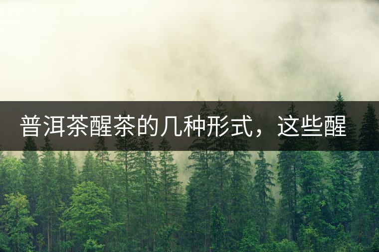 普洱茶醒茶的幾種形式，這些醒茶方法你都會(huì)了嗎？