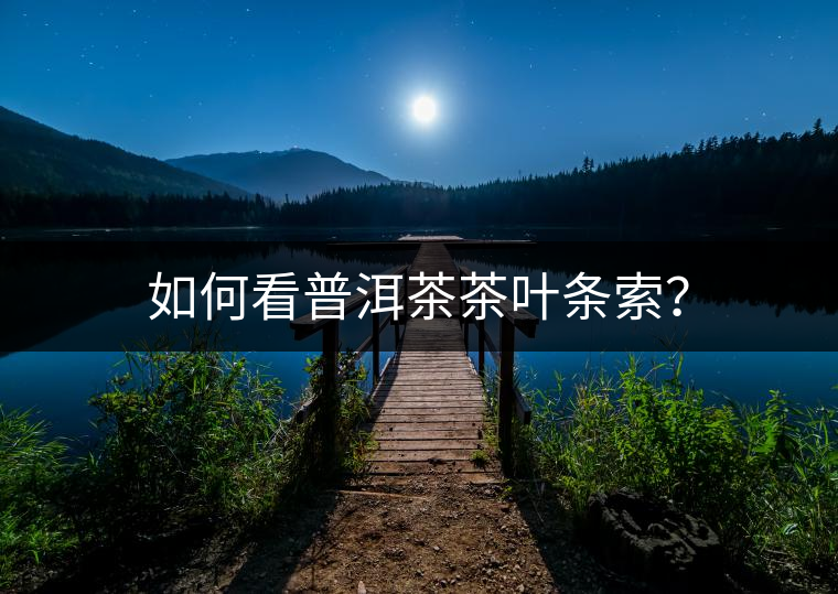 如何看普洱茶茶葉條索？
