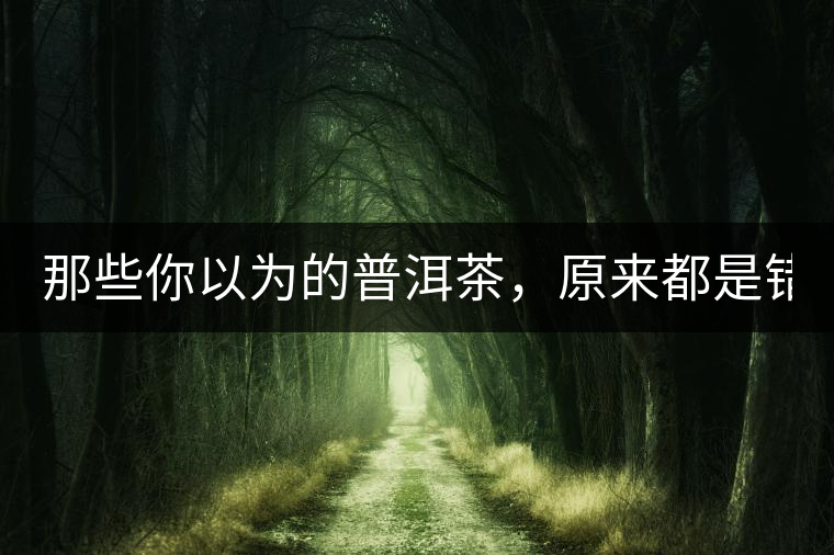 那些你以為的普洱茶，原來都是錯的！