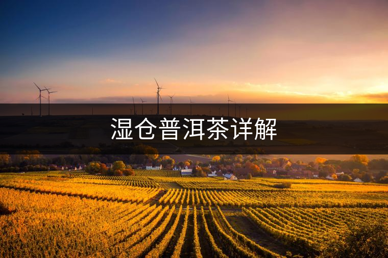 濕倉(cāng)普洱茶詳解 濕倉(cāng)普洱茶詳解