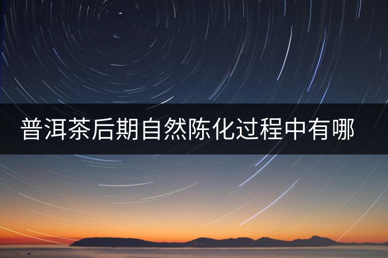 普洱茶后期自然陳化過程中有哪些變化？