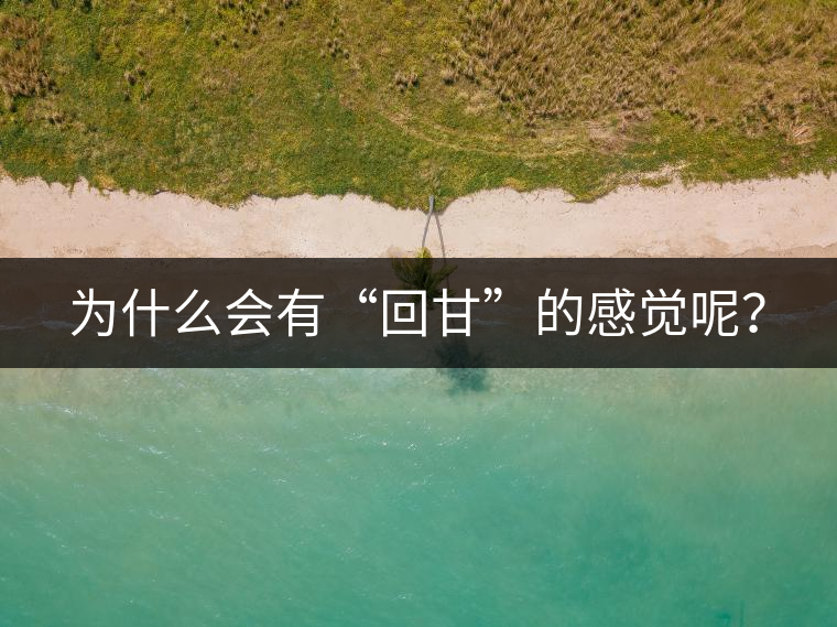 為什么會有“回甘”的感覺呢？