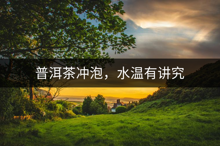 普洱茶沖泡，水溫有講究