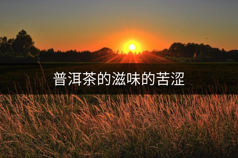 普洱茶的滋味的苦澀 普洱茶的滋味的苦澀