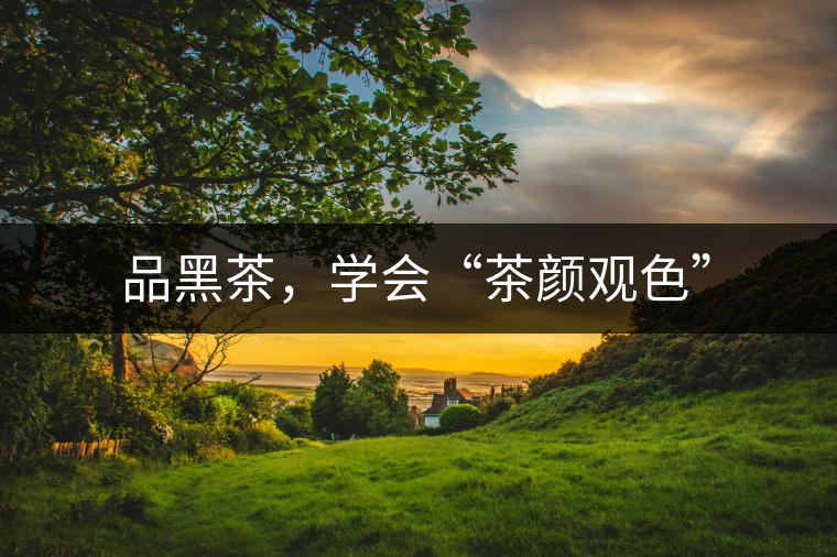 品黑茶，學(xué)會(huì)“茶顏觀色”