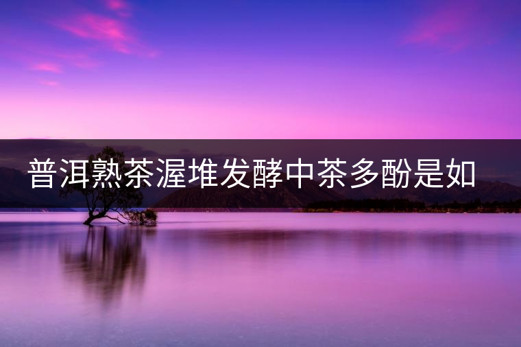 普洱熟茶渥堆發(fā)酵中茶多酚是如何轉(zhuǎn)化的？