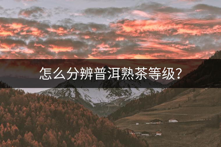 怎么分辨普洱熟茶等級？