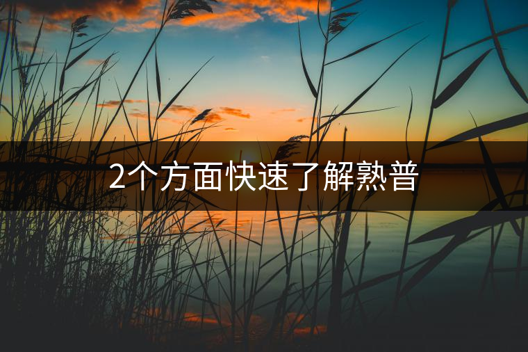 2個方面快速了解熟普 2個方面快速了解熟普