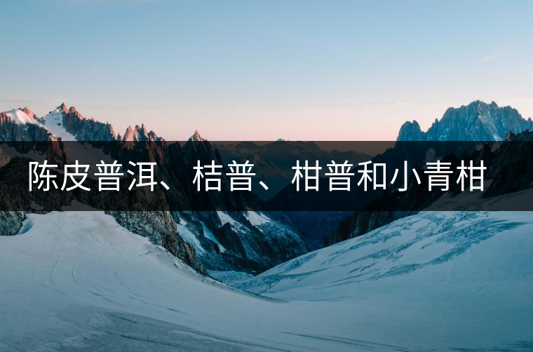 陳皮普洱、桔普、柑普和小青柑茶的分辨技巧