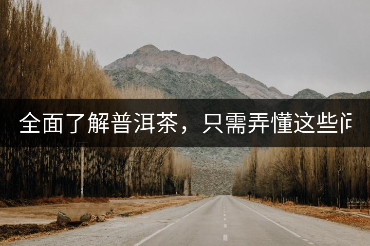 全面了解普洱茶，只需弄懂這些問題！