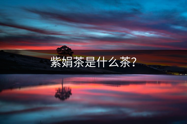 紫娟茶是什么茶？