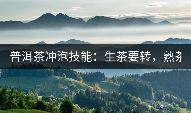 普洱茶沖泡技能：生茶要轉(zhuǎn)，熟茶要柔！