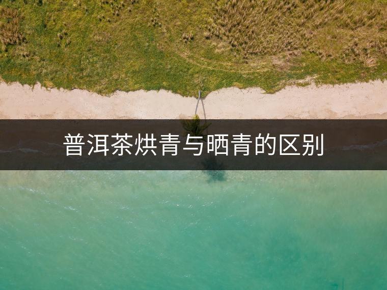 普洱茶烘青與曬青的區(qū)別