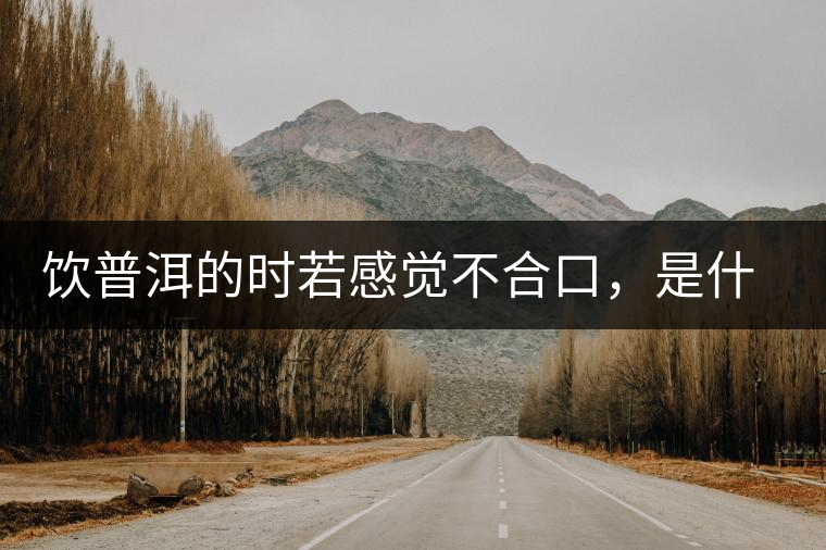 飲普洱的時(shí)若感覺不合口，是什么原呢？