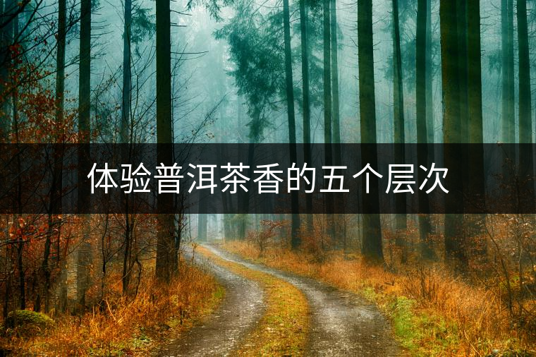 體驗(yàn)普洱茶香的五個(gè)層次