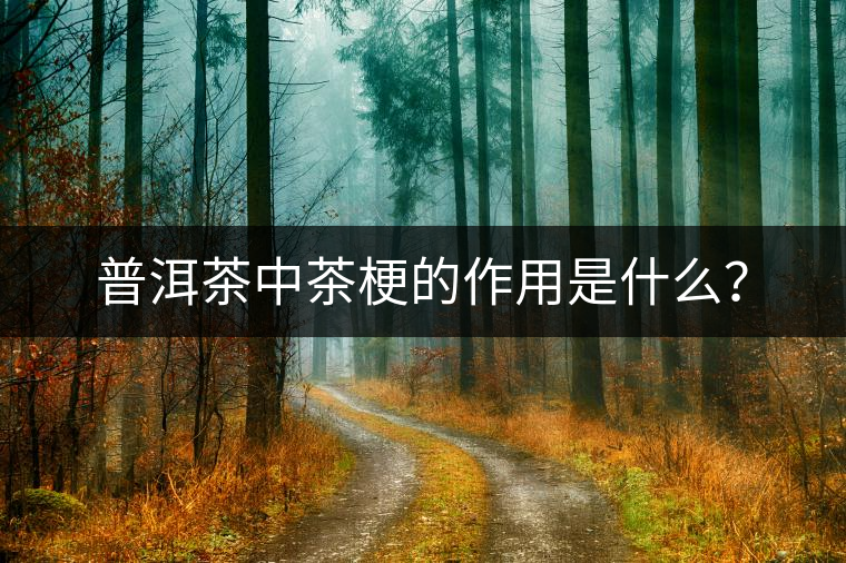 普洱茶中茶梗的作用是什么？