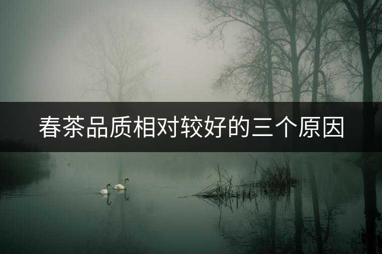 春茶品質(zhì)相對較好的三個原因 春茶品質(zhì)相對較好的三個原因