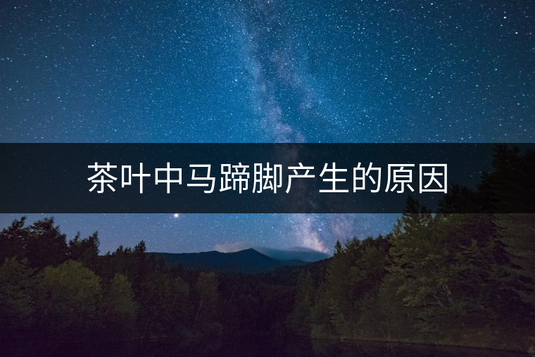 茶葉中馬蹄腳產(chǎn)生的原因