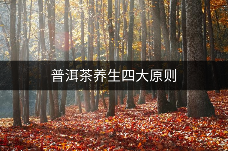 普洱茶養(yǎng)生四大原則 普洱茶養(yǎng)生四大原則