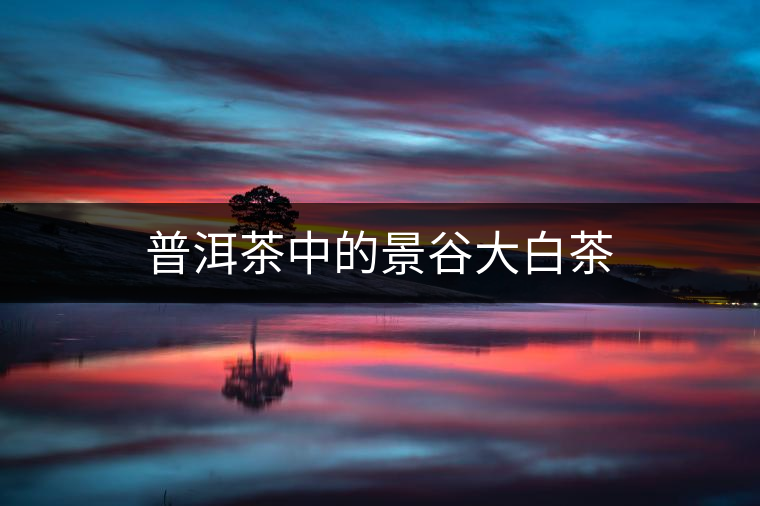 普洱茶中的景谷大白茶