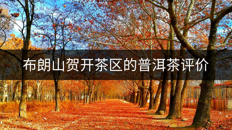 布朗山賀開(kāi)茶區(qū)的普洱茶評(píng)價(jià)
