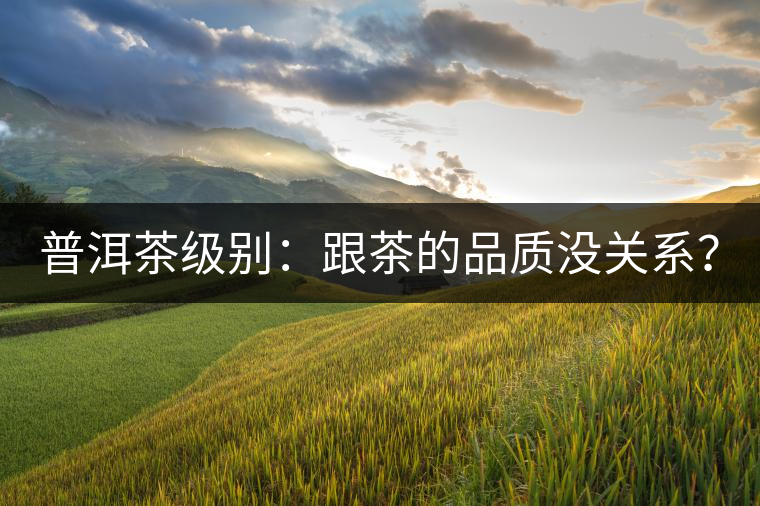 普洱茶級(jí)別：跟茶的品質(zhì)沒關(guān)系？