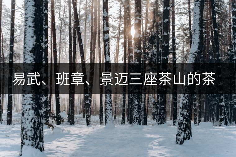易武、班章、景邁三座茶山的茶比較