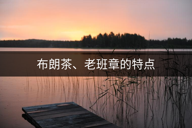 布朗茶、老班章的特點