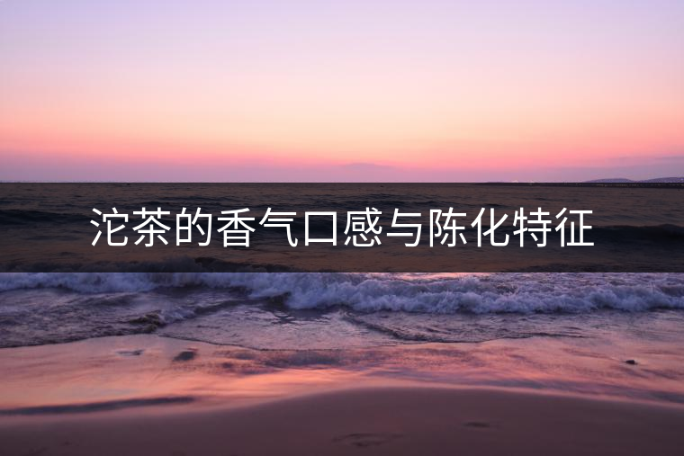 沱茶的香氣口感與陳化特征