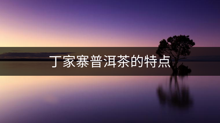 丁家寨普洱茶的特點(diǎn)