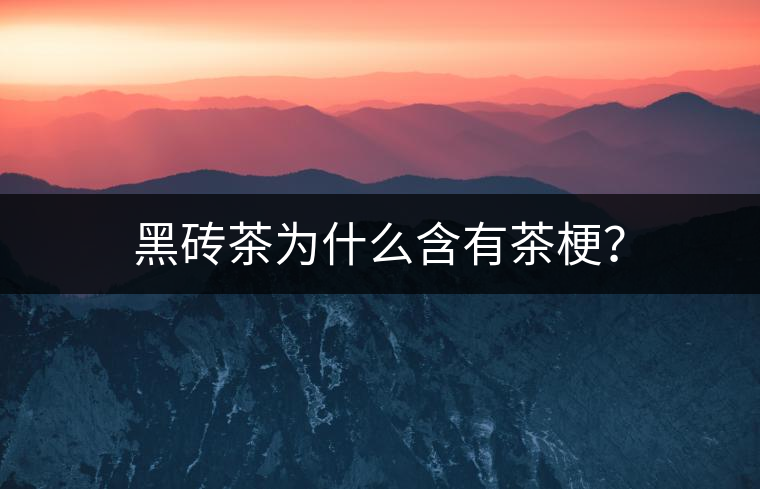 黑磚茶為什么含有茶梗？